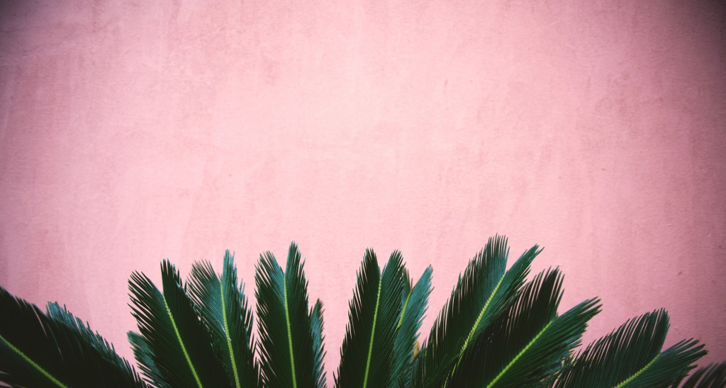 cropped